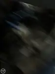 Τράτα προς πώληση