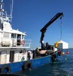 Εργατικά πλοία προς πώληση