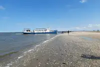 Αμφοβόλο προς πώληση