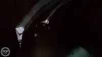 Τράτα προς πώληση