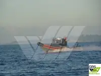 Άκαμπτο φουσκωτό σκάφος προς πώληση
