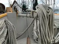 Τράτα προς πώληση
