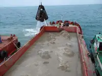 Αμφοβόλο προς πώληση