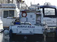 Τράτα προς πώληση
