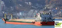 Πλοίο μεταφοράς χύδην φορτίου προς πώληση