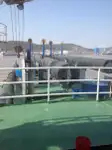 Ανελκυστήρας προς πώληση