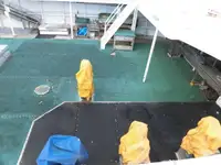 Τράτα προς πώληση