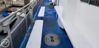 Καταμαράν προς πώληση