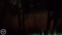 Τράτα προς πώληση