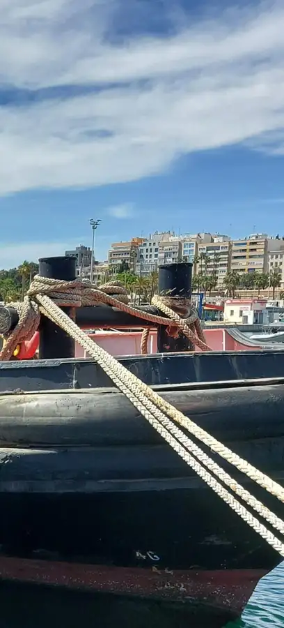 Ρυμουλκό πλοίο προς πώληση