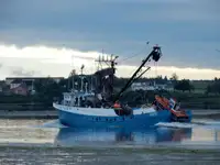 Πλοίο περιμετρικής αλιείας προς πώληση
