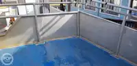 Καταμαράν προς πώληση