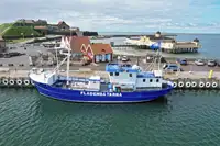 Trawler προς πώληση