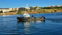 Εργατικά πλοία προς πώληση