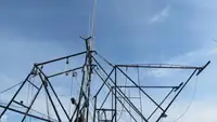 Τράτα προς πώληση