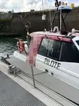 Πλοίο πιλότων προς πώληση