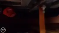 Τράτα προς πώληση