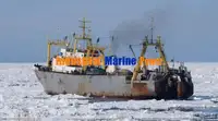 Ψυκτικό πλοίο προς πώληση