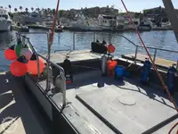 Τράτα προς πώληση