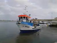 Ρυμουλκό πλοίο προς πώληση