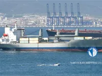 Ψυκτικό πλοίο προς πώληση