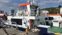 Αμφοβόλο προς πώληση
