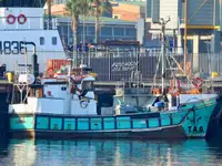 Purse seiner προς πώληση