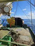 Purse seiner προς πώληση