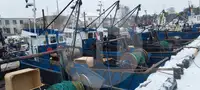 Φορέας ζωντανών ψαριών προς πώληση