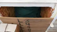 Τράτα προς πώληση