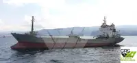 Πλοίο μεταφοράς χύδην φορτίου προς πώληση