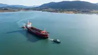Ρυμουλκό πλοίο προς πώληση