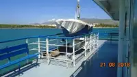 Ro-Ro ship προς πώληση
