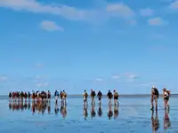Αμφοβόλο προς πώληση