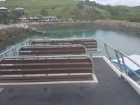 Κάτερ προς πώληση