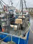 Φορέας ζωντανών ψαριών προς πώληση