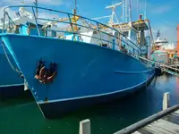 Trawler προς πώληση