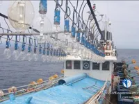 Πλοίο αλιείας καλαμαριών με ειδικό εργαλείο προς πώληση