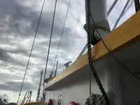 Τράτα προς πώληση