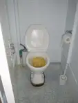 Πλοίο αλιείας με μακρύ σχοινί προς πώληση