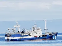 Τράτα προς πώληση