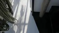 Τράτα προς πώληση