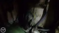 Τράτα προς πώληση