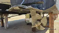 Καταμαράν προς πώληση