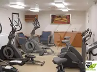 Πλοίο μεταφοράς εμπορευματοκιβωτίων προς πώληση