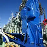 Purse seiner προς πώληση