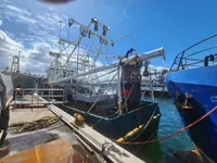 Τράτα προς πώληση