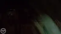 Τράτα προς πώληση