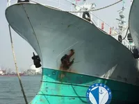 Πλοίο αλιείας με μακρύ σχοινί προς πώληση