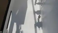 Τράτα προς πώληση